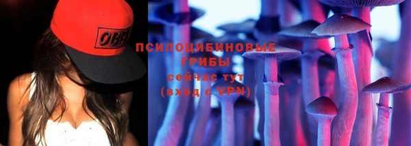 ГАЛЛЮЦИНОГЕННЫЕ ГРИБЫ Абдулино