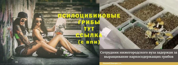 МДМА Надым